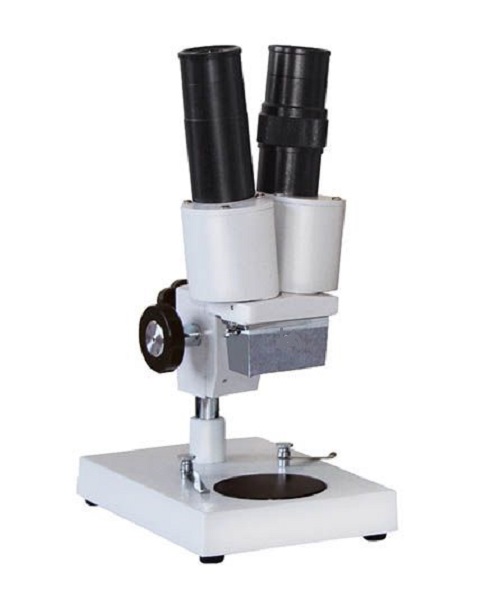 Microscope Stereo Plus