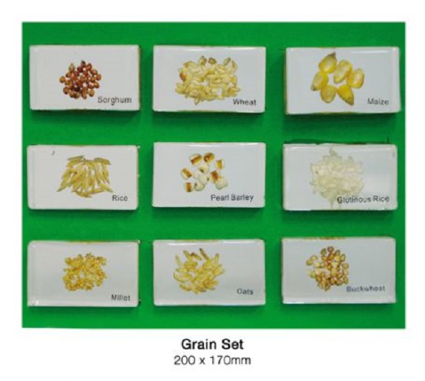 Grain Set