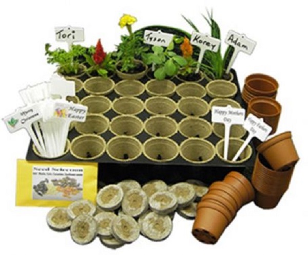 Plant Propagation Classroom Kit