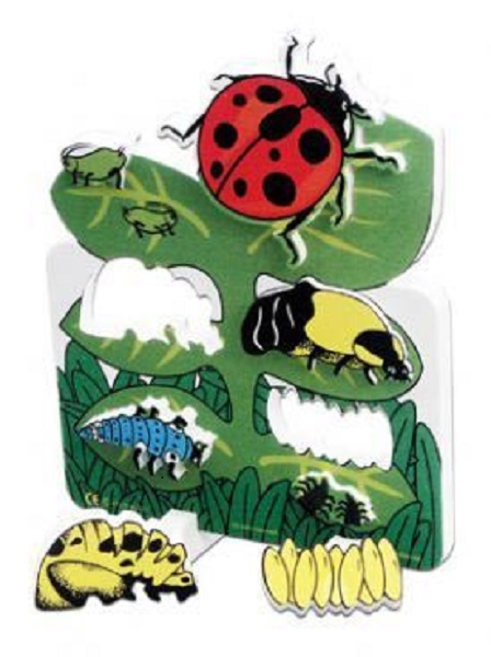 Book Plus Ladybug Lifecycle Rating Models